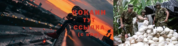 индика Абдулино